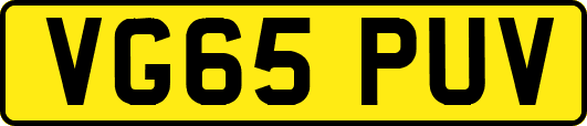 VG65PUV