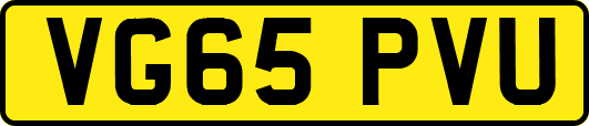 VG65PVU