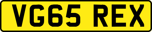 VG65REX