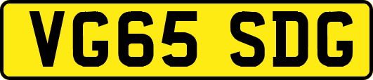 VG65SDG