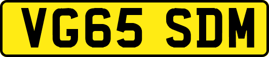 VG65SDM