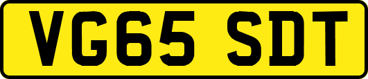 VG65SDT