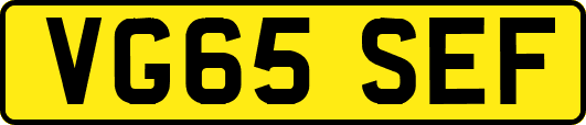 VG65SEF