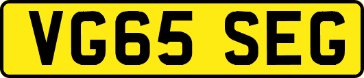 VG65SEG