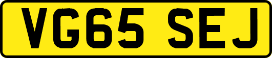 VG65SEJ