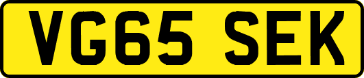 VG65SEK