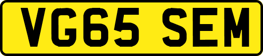VG65SEM