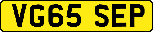 VG65SEP