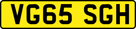 VG65SGH