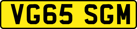 VG65SGM