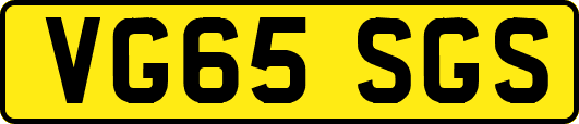 VG65SGS