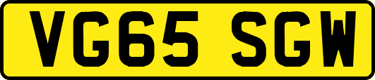 VG65SGW