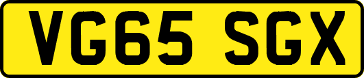 VG65SGX