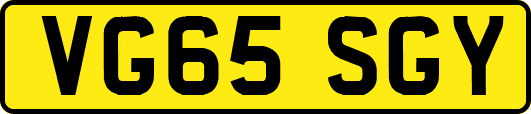 VG65SGY