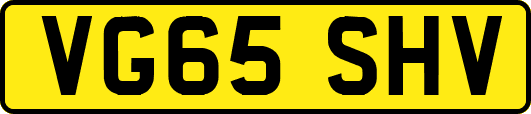 VG65SHV
