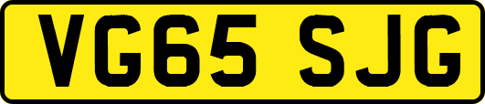 VG65SJG