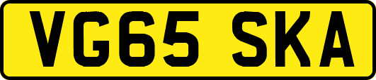 VG65SKA