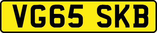 VG65SKB