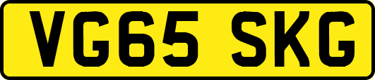 VG65SKG