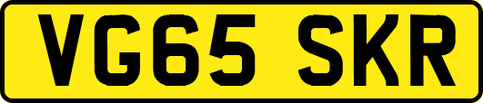 VG65SKR