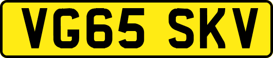 VG65SKV