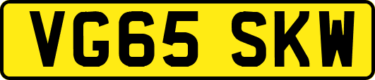 VG65SKW