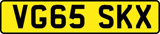 VG65SKX