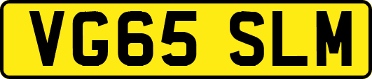 VG65SLM