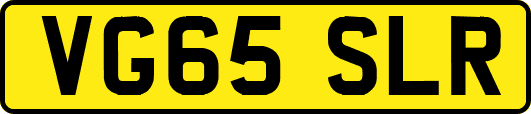 VG65SLR