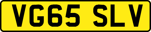 VG65SLV