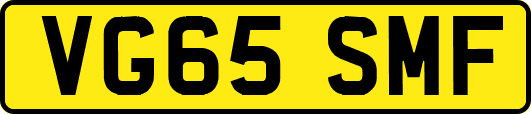 VG65SMF