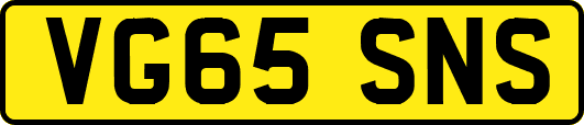 VG65SNS