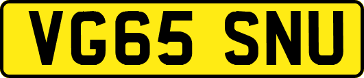 VG65SNU