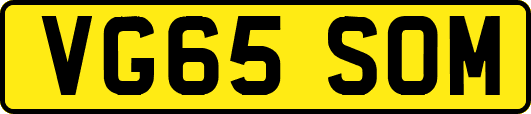 VG65SOM