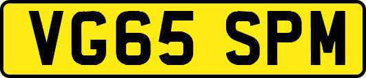 VG65SPM