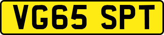 VG65SPT