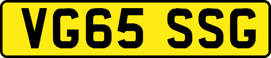 VG65SSG