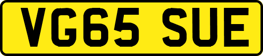 VG65SUE
