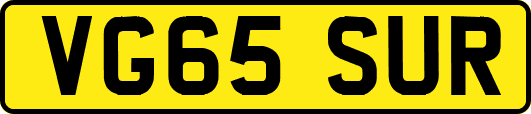 VG65SUR