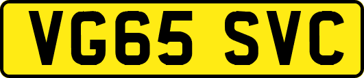 VG65SVC