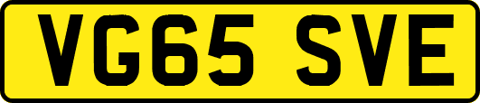 VG65SVE