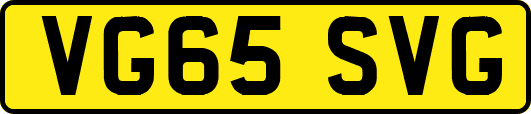 VG65SVG