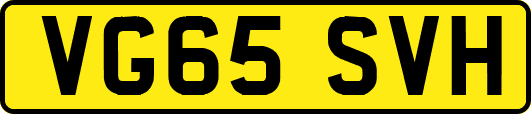 VG65SVH