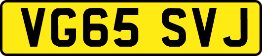 VG65SVJ