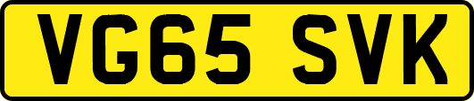 VG65SVK
