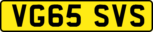 VG65SVS