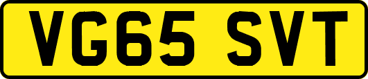 VG65SVT