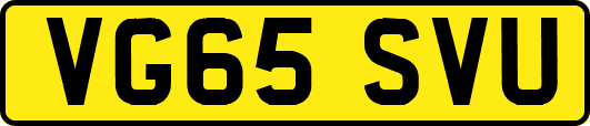 VG65SVU