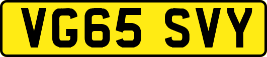VG65SVY