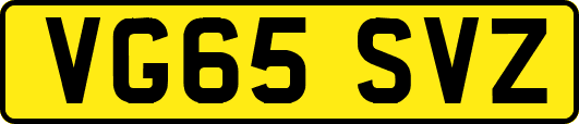 VG65SVZ